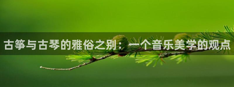 凯发k8网站是多少:古筝与古琴的雅俗之别:一个音乐美学的观点