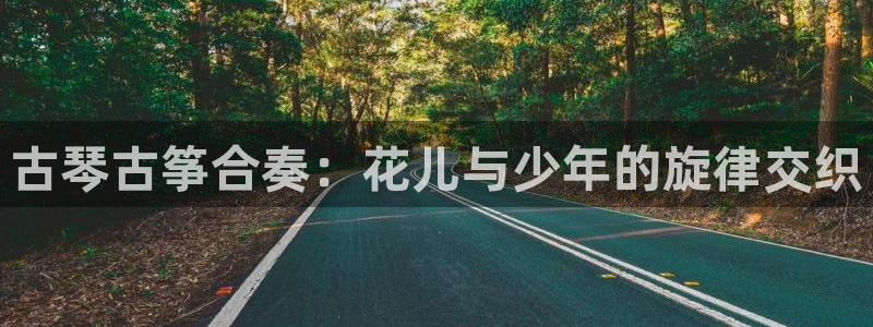 凯发k8官方网娱乐官方:古琴古筝合奏:花儿与少年的旋律交织