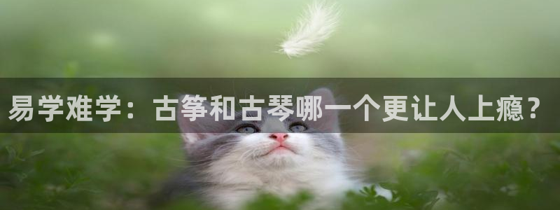 凯发唯一官方网站:易学难学:古筝和古琴哪一个更让人上瘾?